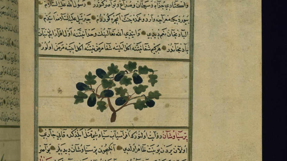 Medieval Arabic Cookbooks /  Marcia Lynx Qualey