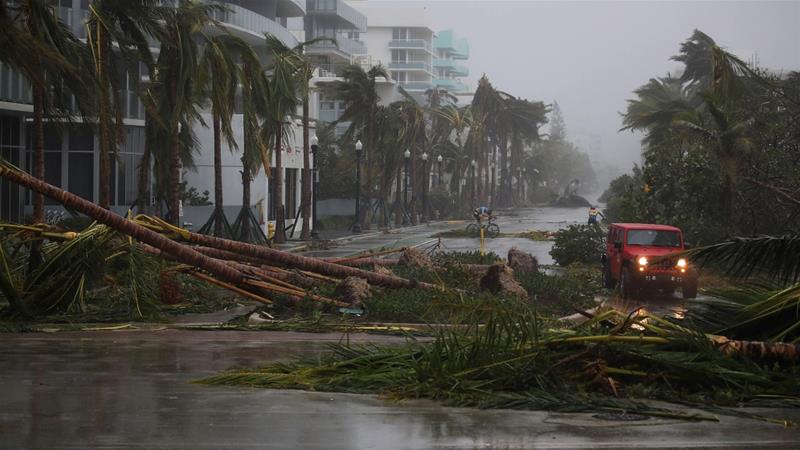 Image result for hurricane irma florida
