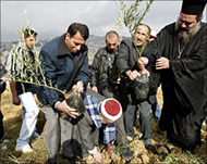 Peace activists plant olive trees to protest Jerusalem settlements
