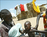 A UN report says nearly half theDarfur population is short of food