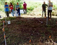 Excavation was carried out on alikely grave site on Tinian island