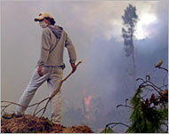 Volunteers battle a forest fire