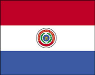 The Paraguay flag