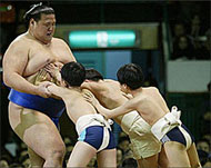 In sumo it takes brains as well as brawn to make a champion