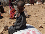 The hunger in Somalia could further destabilise the country
