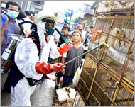 Indonesia has been criticised for not acting swiftly against bird flu