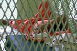 Guantanamo Bay prisoner in cell