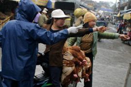 poultry traders security checkpoint vietnam bird flu