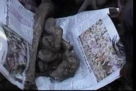 Bones from newly-born babies buried behind a Christian missionary hospital in Madhya Pradesh