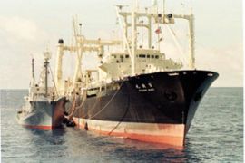 whaling ship nisshin maru at sea