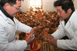 huaguoshan china bird flu