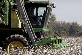 US cotton world trade organisation subsidies