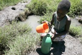zimbabwe cholera