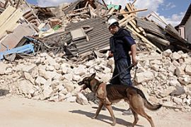 italy earthquake rescue dog