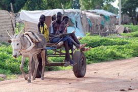 Sudanese men in Abyei region