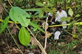 Peru police search for bodies