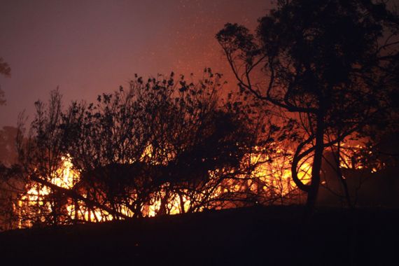 Houses burn behind trees during a bushfire in Roleystone, near Perth