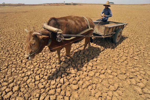 china drought2