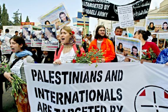 palestine solidarity activists