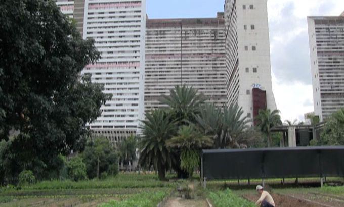 Venezuela urban farms pkg
