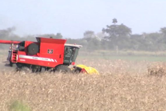 Argentinians await ruling on crop pesticides