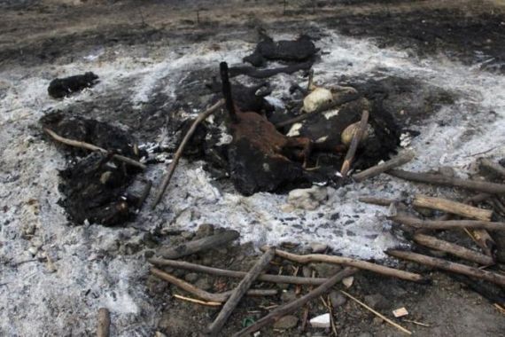 Burnt animals are seen after an attack in Kilelengwani village in Tana River Delta in Kenya''s coastal region