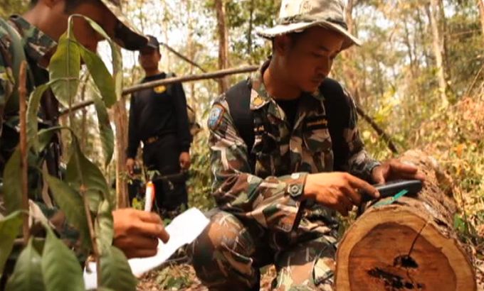Thailand illegal logging pkg