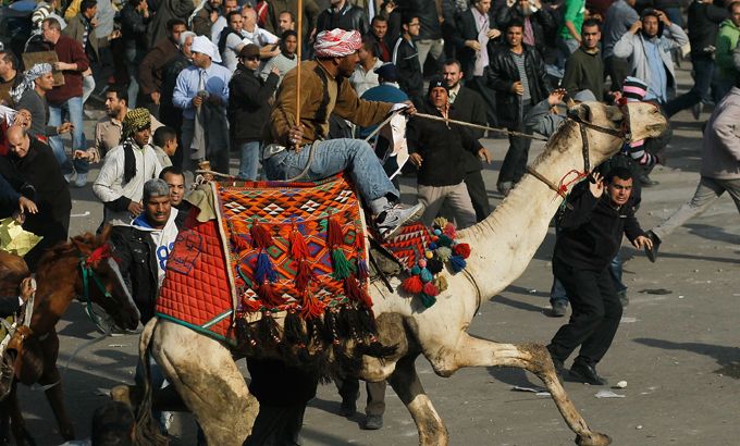 egypt camel battle