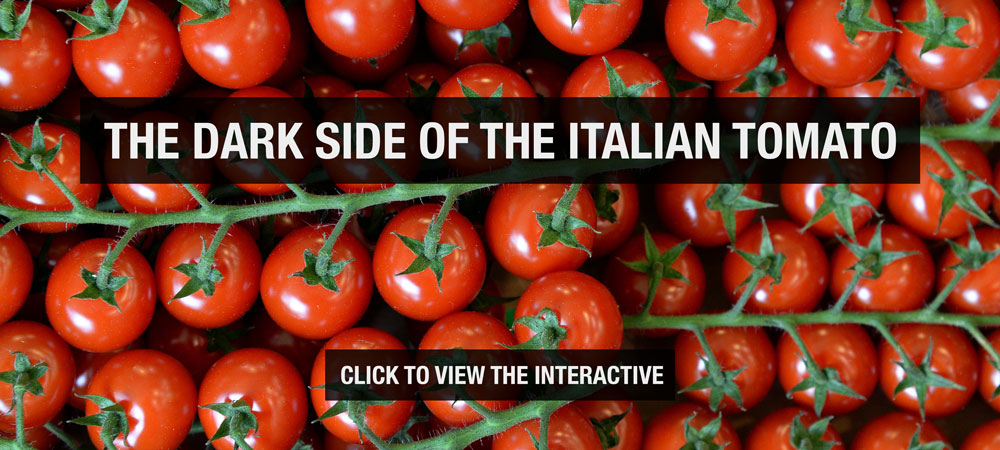 The dark side of the Italian tomato [Al Jazeera]