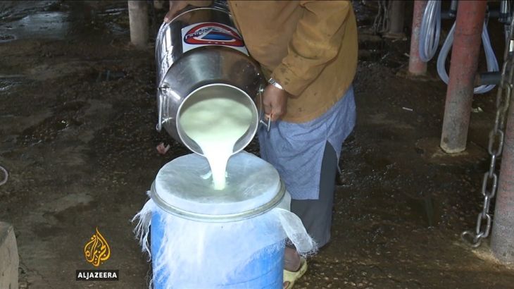 Nigeria dairy farming