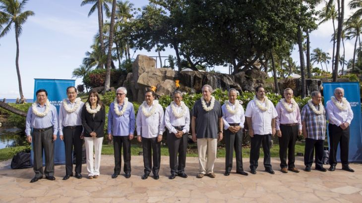 Trade ministers line up for a family photo during TPP talks in Lahaina â€¨