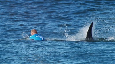 Australian surfer Mick Flanning survived a shark attack in South Africa [worldsurfleague.com]