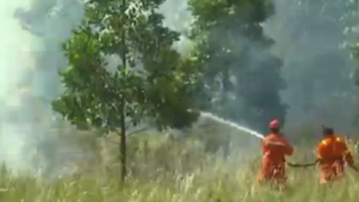 indonesia forest fires