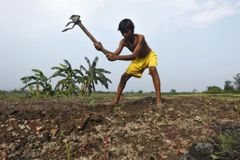A farmer ploughs a field in Kolkata