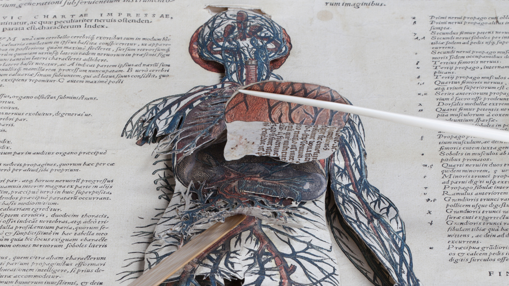 'The world's first pop-up book' [Cambridge University Library]