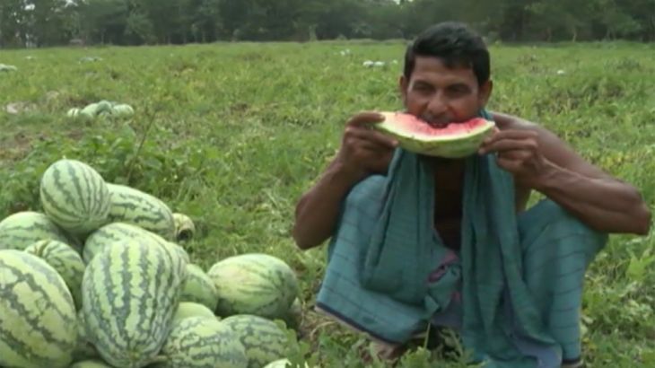 Watermelons Bangladesh pkg