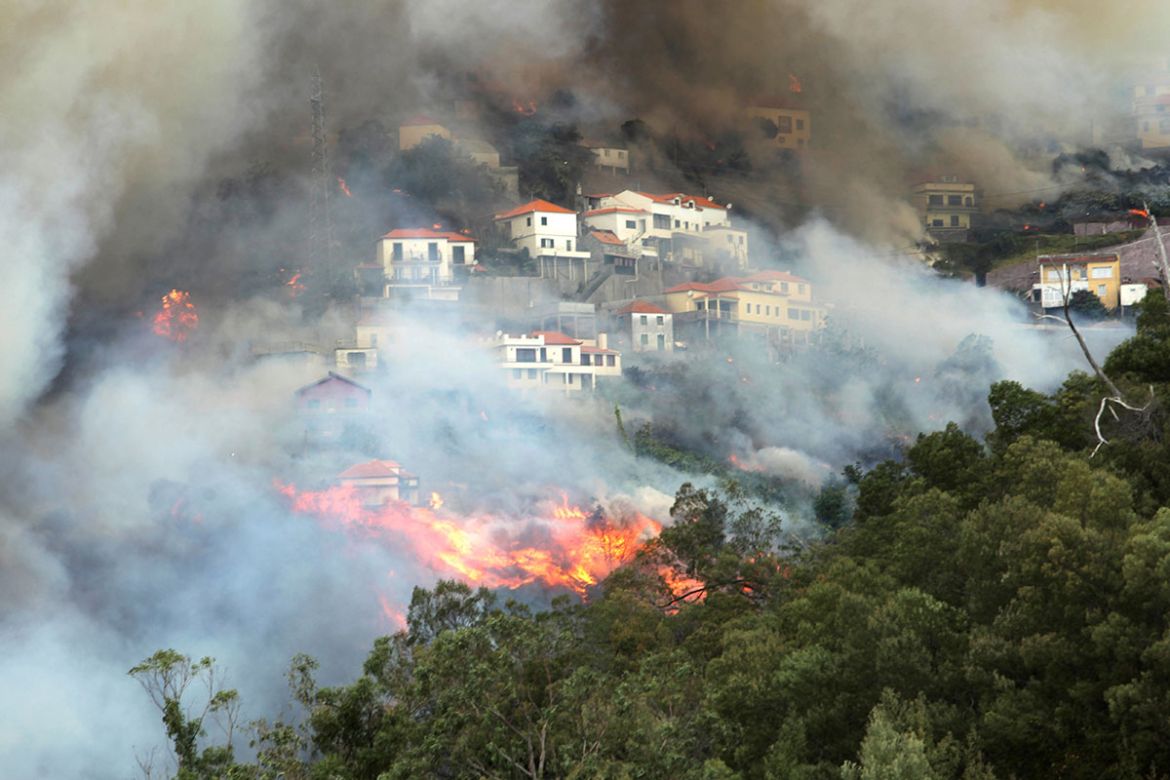 PORTUGAL WILDFIRES