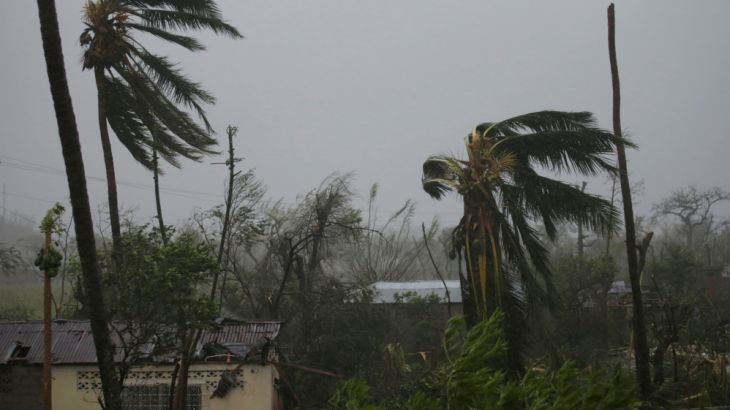 Trees damaged by wind are seen during Hurricane Matthew in Les Cayes