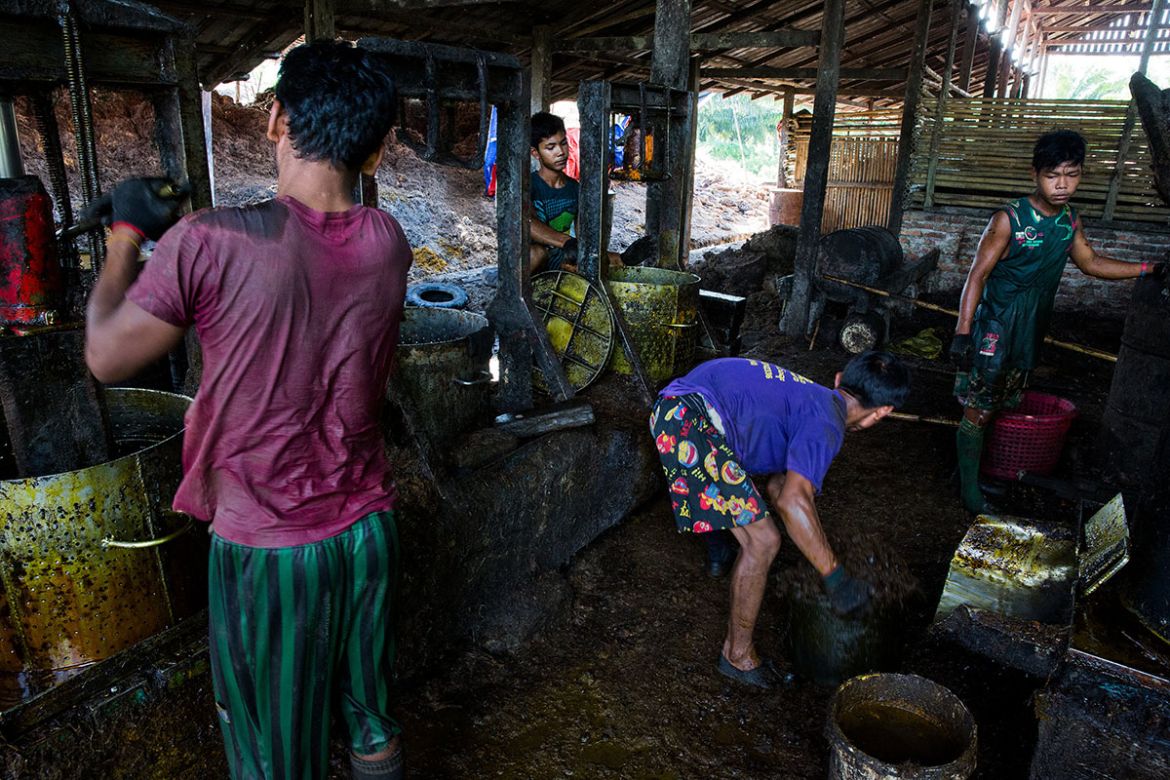 Palm Oil in Myanmar/Please Do Not Use