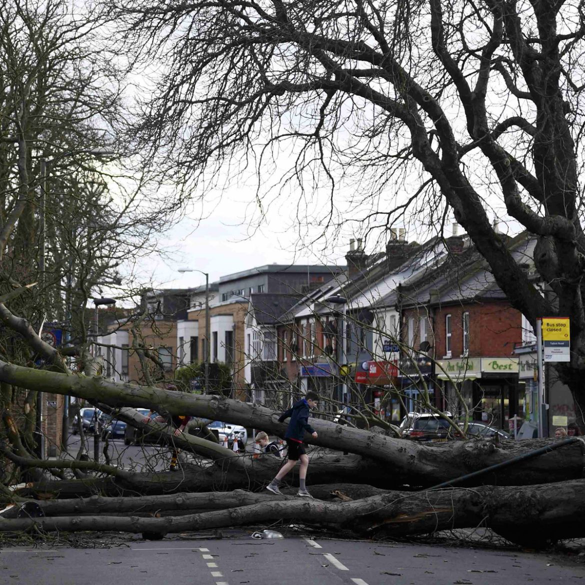 Storm Doris, downed tree, London