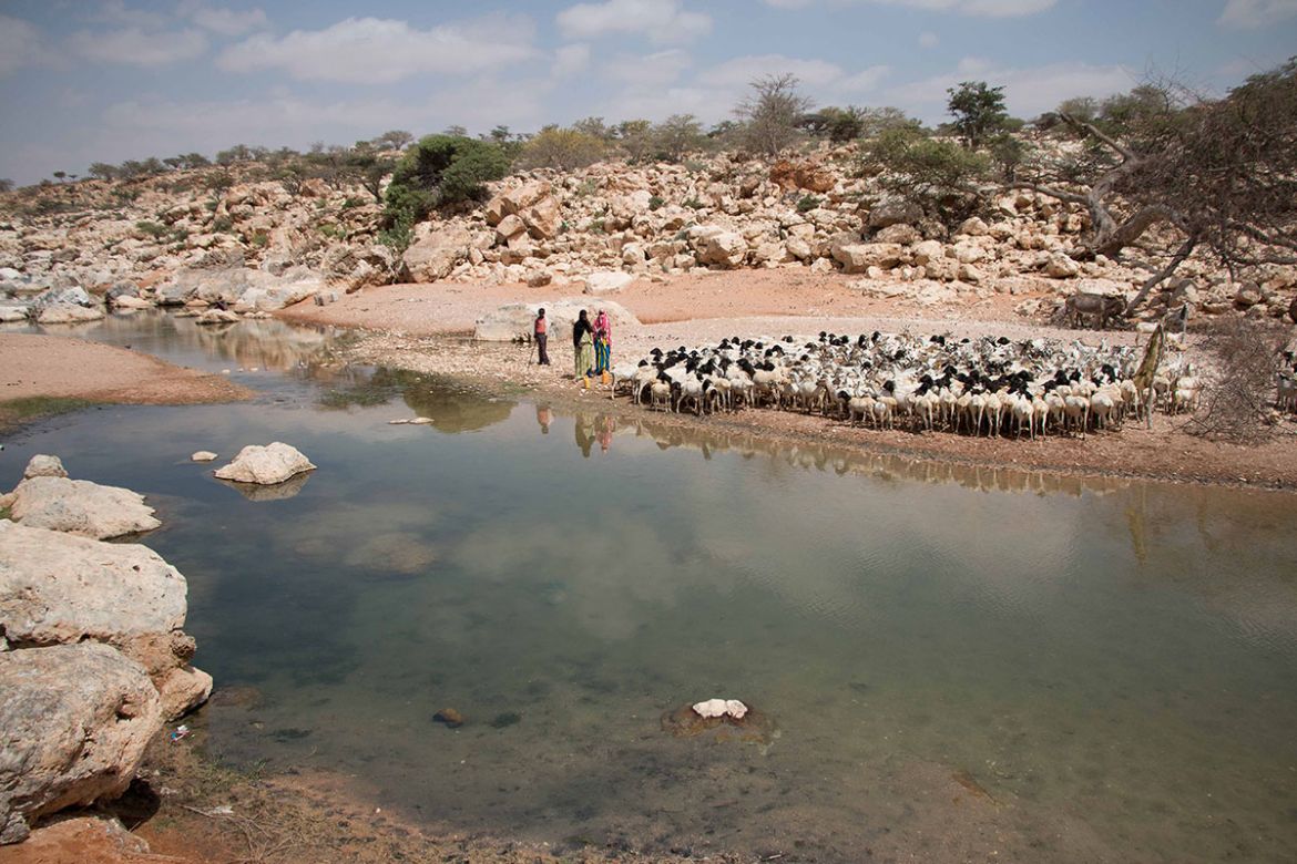 Drought strikes Puntland/ Please Do Not Use