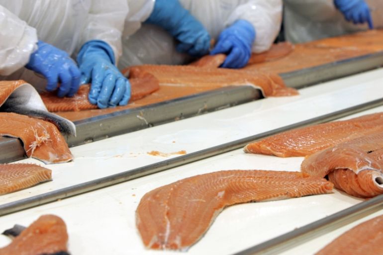 File photo of workers cleaning salmon carcasses on a cleaning line at the Acuinova Chile salmonera company located south of Santiago