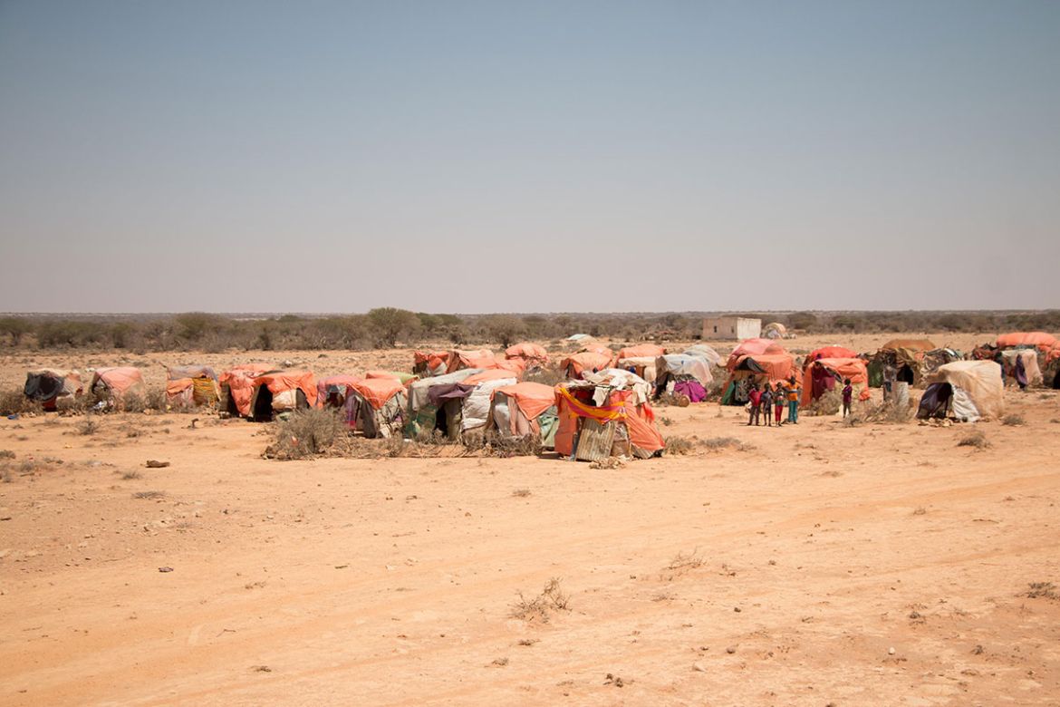 Drought strikes Puntland/ Please Do Not Use