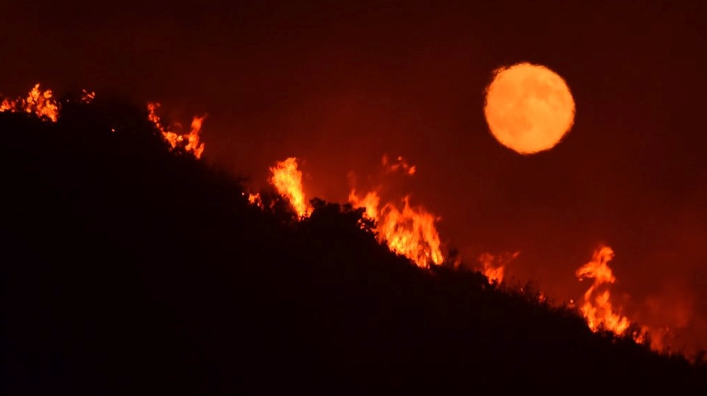 The full moon rises over flames of the Alamo fire on a hilltop off Highway 166 east of Santa Maria, California [Reuters]Embers fly off smouldering trees after flames from the 'Wall fire' tore through a residential neighbourhood near Oroville, California [AFP]