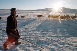 Mongolia: The nomads risking it all