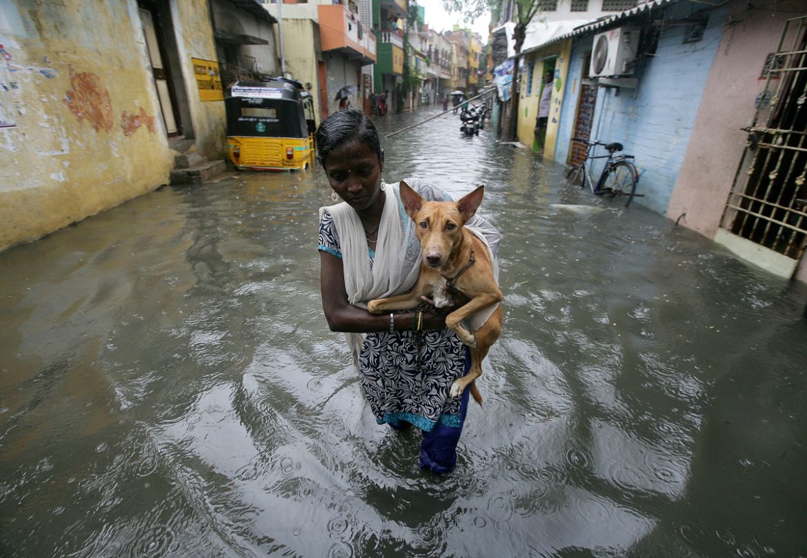 A woman carries a dog as she wades through a water-logged neighbourhood during rains in Chennai, India, November 1, 2017. REUTERS/P. Ravikumar TPX IMAGES OF THE DAY