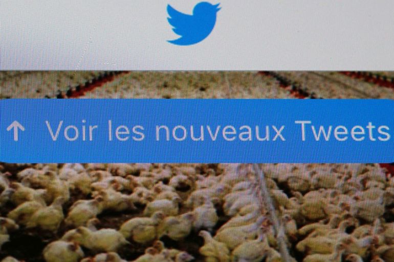 "See new tweets" in French/Twitter home screen