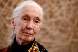 Jane Goodall: To fix the environment, fix poverty