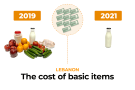 Infographic: How much do basic necessities cost in Lebanon?