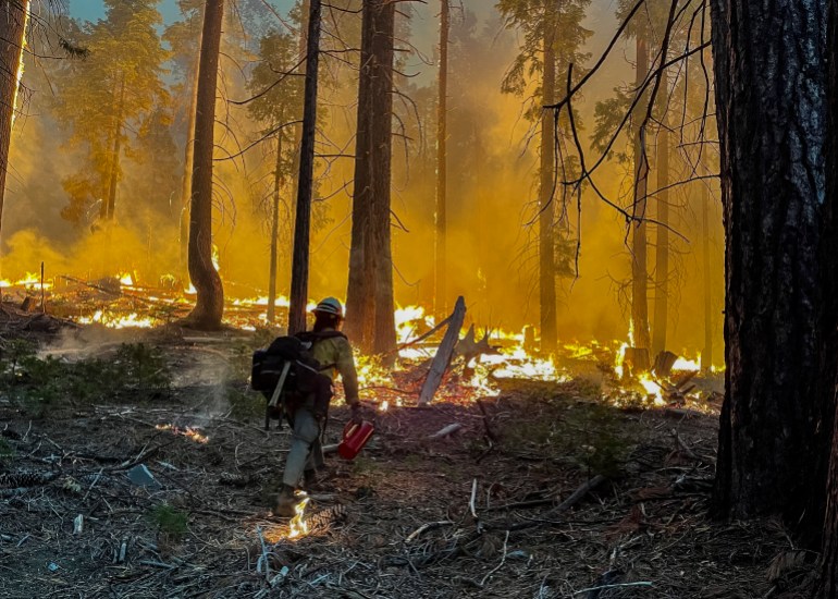 In this photo courtesy of the National Park Service obtained on July 11, 2022, fire fighters perform backfire operations while combating the Washburn Fire near the South Entrance of Yosemite National Park, California on July 11, 2022. - The Washburn Fire has burned over 2,430 acres and is threatening the Mariposa Grove which contains ancient giant Sequoia trees. The wildfire is at 0% containment and over 500 firefighters have already been deployed to fight it with more on the way. (Photo by Handout / NATIONAL PARK SERVICE / AFP) / RESTRICTED TO EDITORIAL USE - MANDATORY CREDIT 